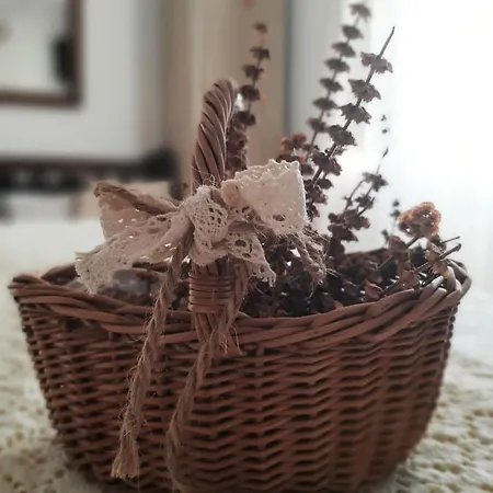 Bed & Breakfast Natalia Gualdo Tadino