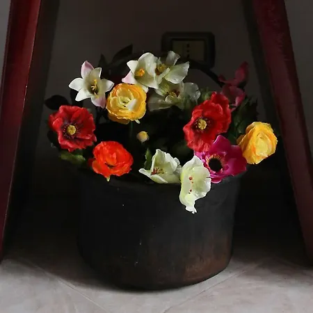 Bed & Breakfast Natalia Gualdo Tadino