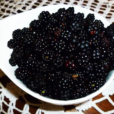 Bed & Breakfast Natalia 3*