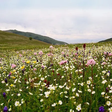 Natalia Gualdo Tadino
