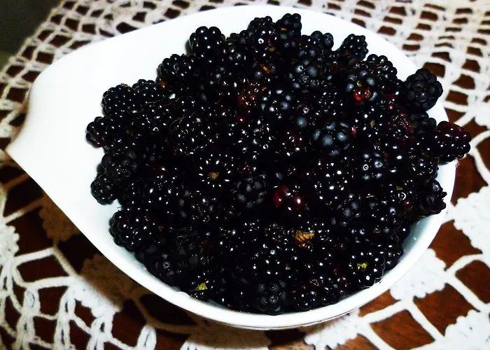 Bed & Breakfast Natalia 3*