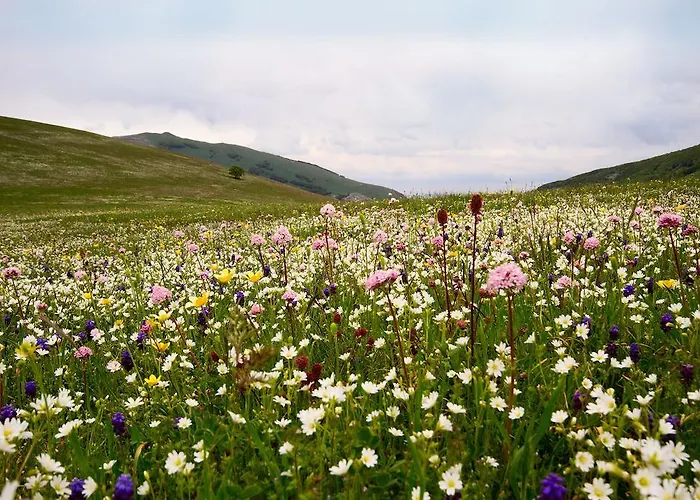 Natalia Gualdo Tadino